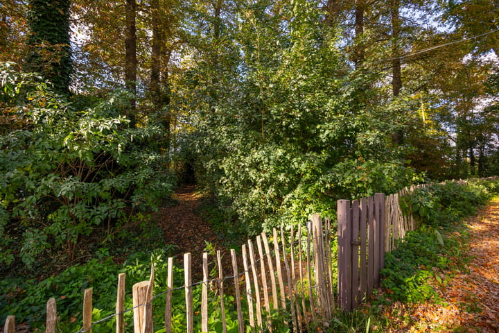 Foto 60 van Barloseweg 28