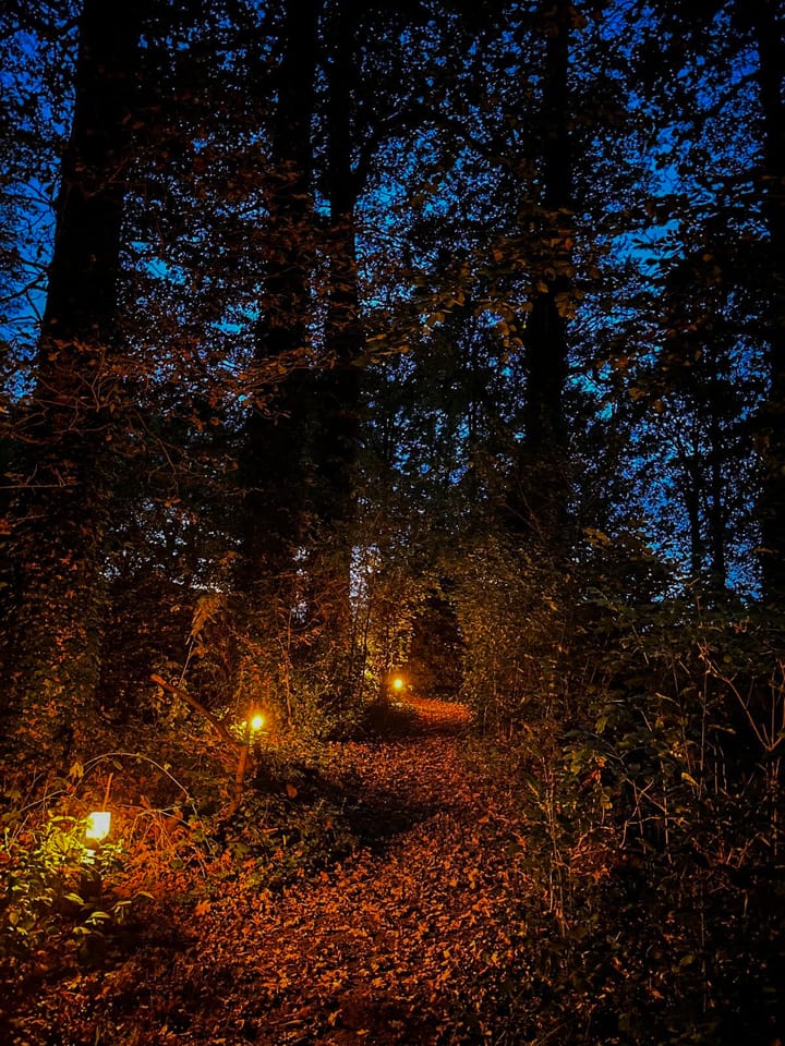 Foto 64 van Barloseweg 28