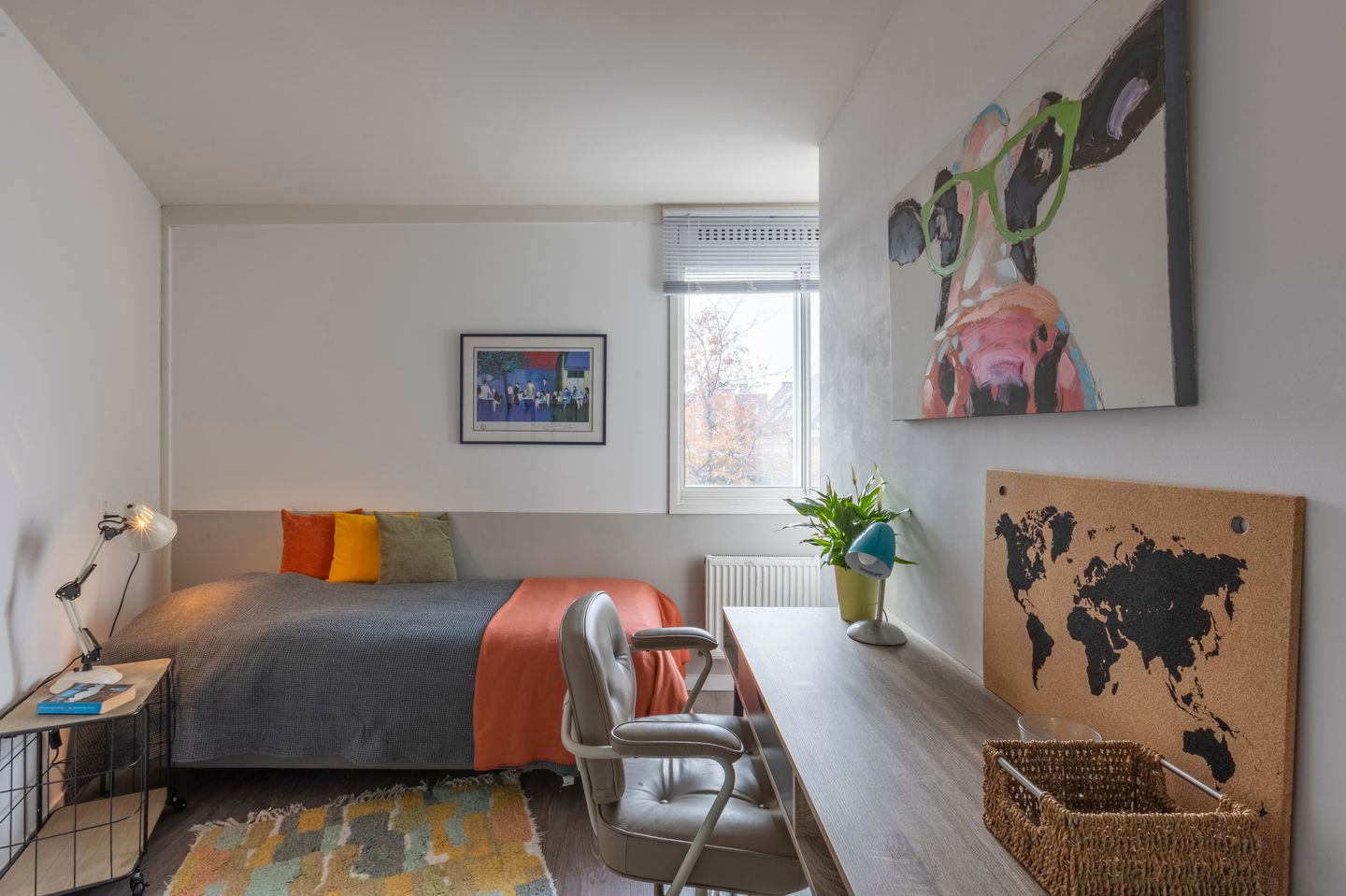 Photo 14 of Van Noordtstraat 46