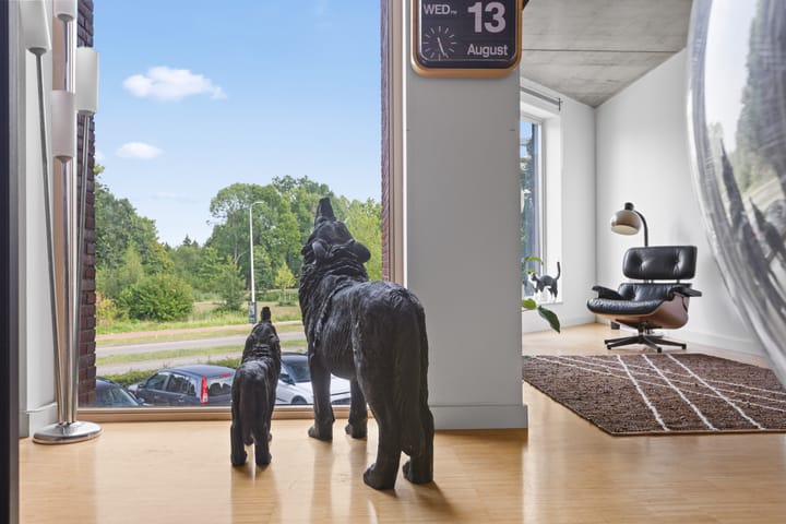 Foto 20 van Eykmanlaan 132