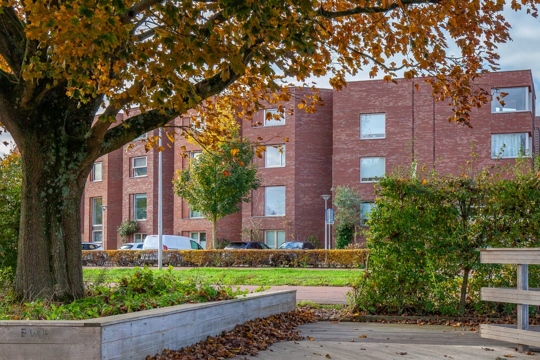 Foto 38 van Eykmanlaan 132