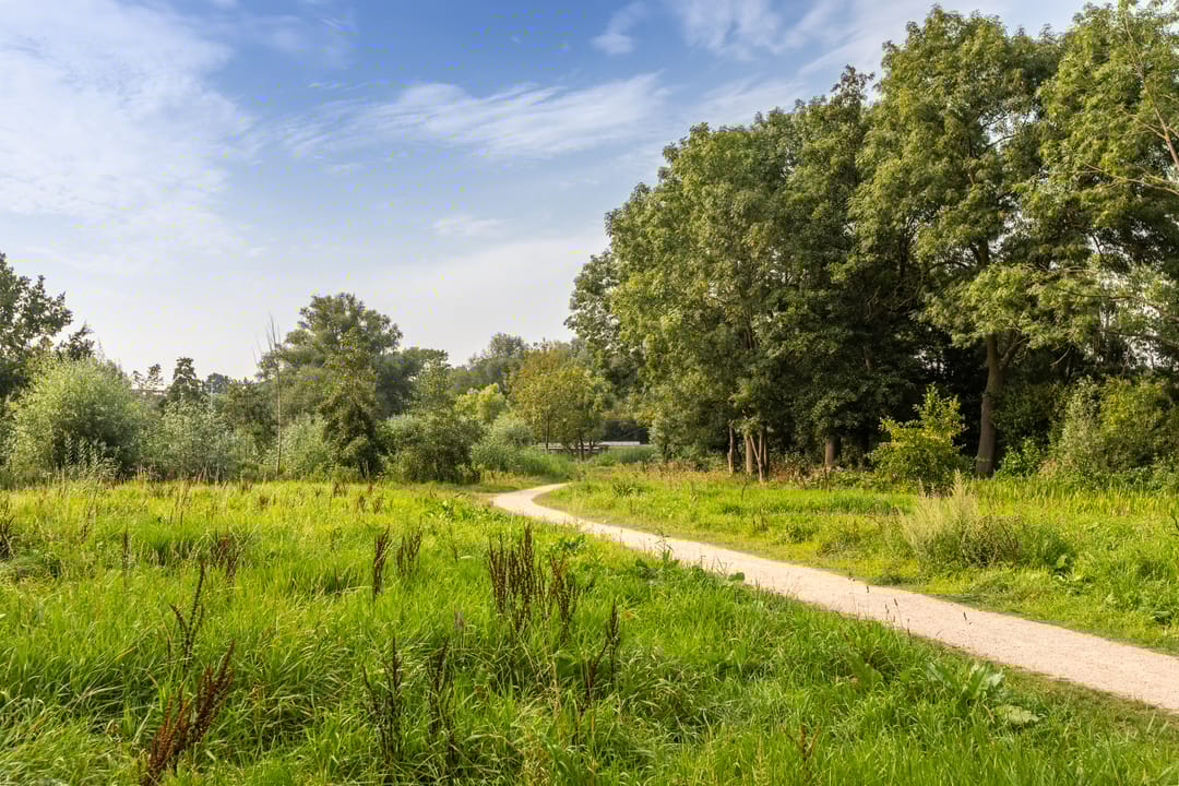 Foto 41 van Eykmanlaan 132