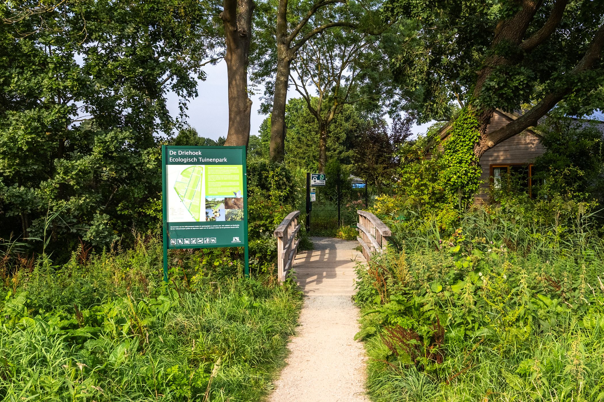 Foto 42 van Eykmanlaan 132