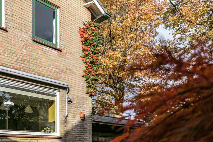 Foto 31 van Parklaan 6