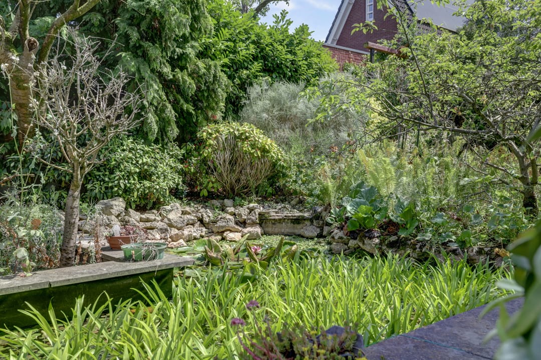 Foto 41 van Koningin-Emmalaan 17