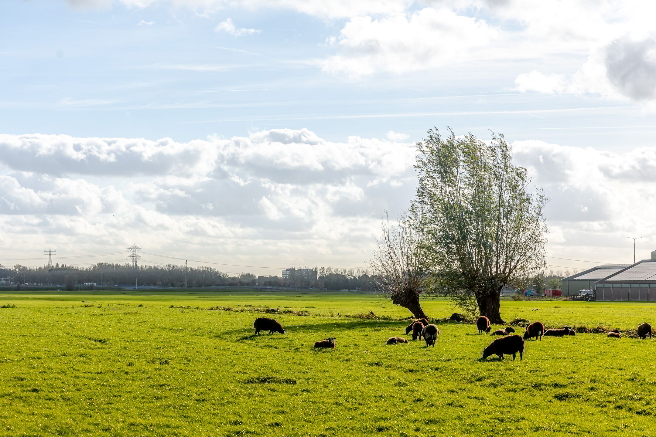 Foto 33 van Prinses Ireneweg 12