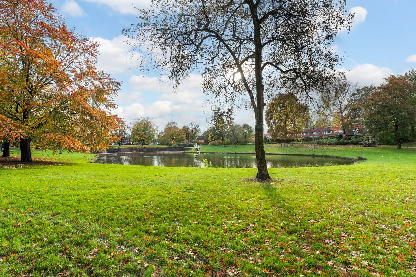 Photo 29 of Henri Dunantlaan 257