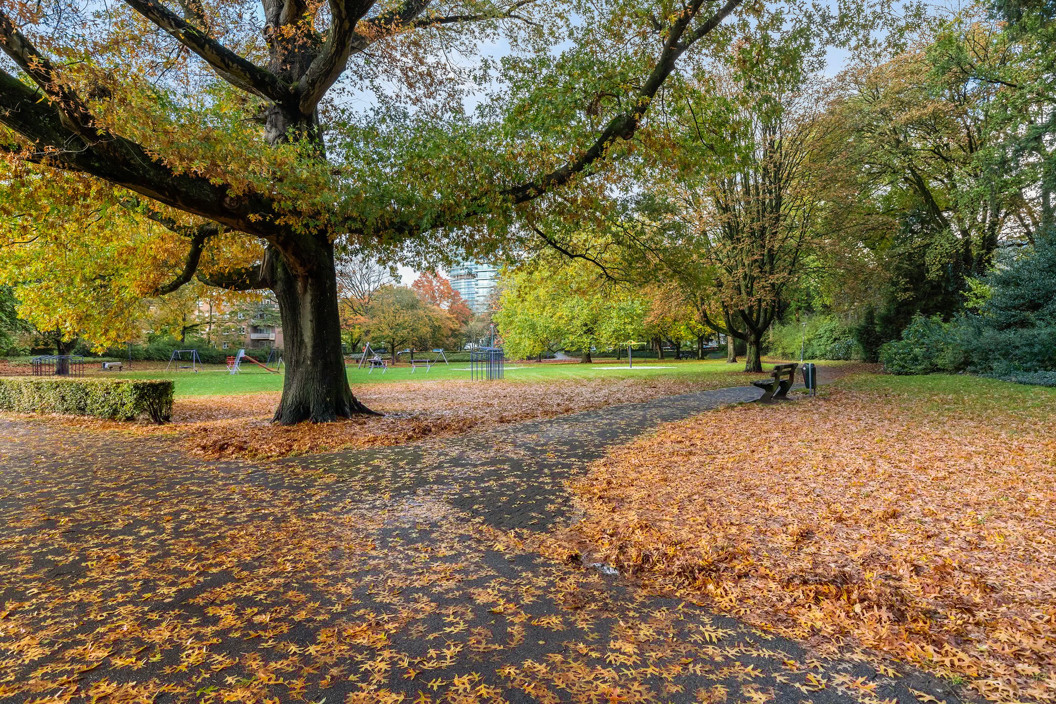 Photo 30 of Henri Dunantlaan 257