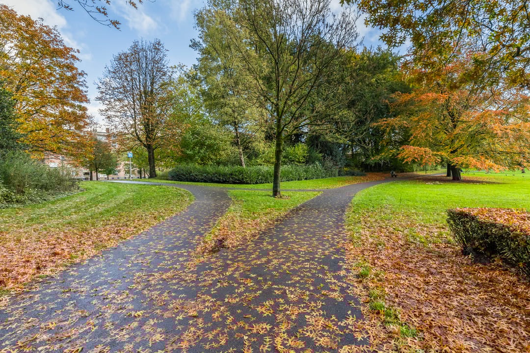 Photo 31 of Henri Dunantlaan 257