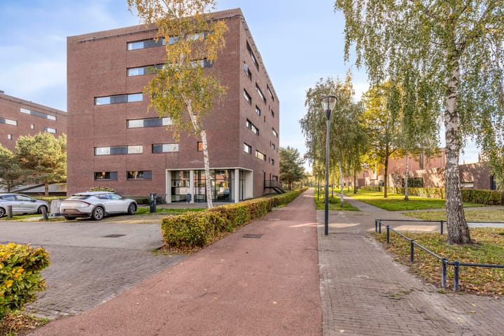 Photo 34 of Zandbloem 149