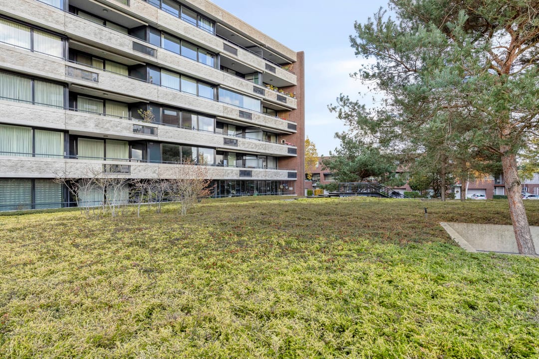 Photo 38 of Zandbloem 149