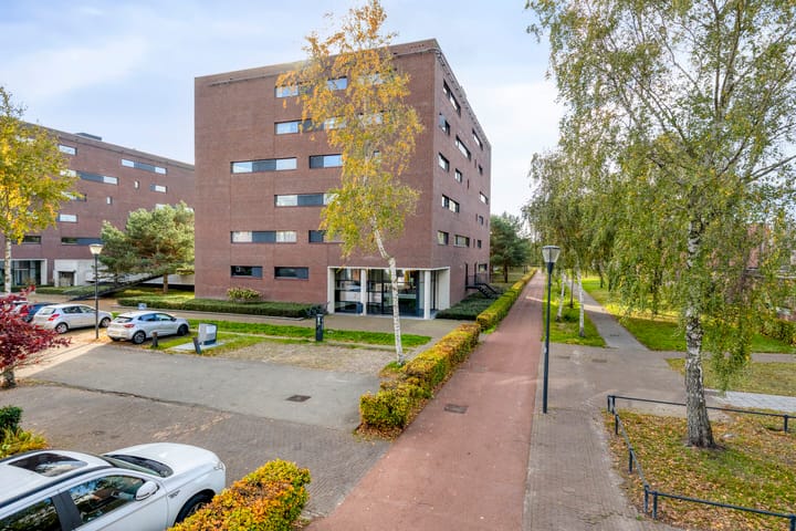 Photo 7 of Zandbloem 149