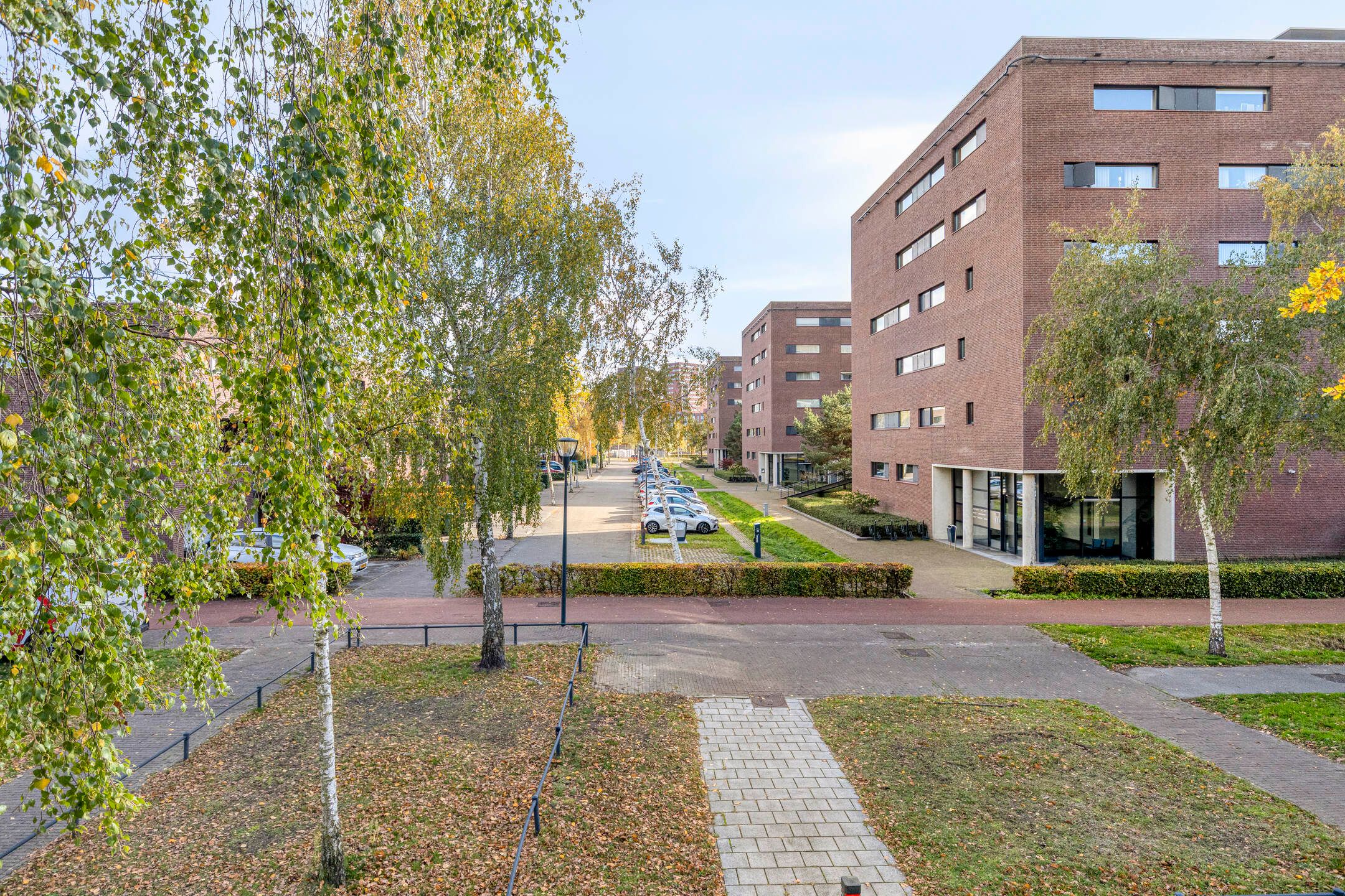 Photo 36 of Zandbloem 149