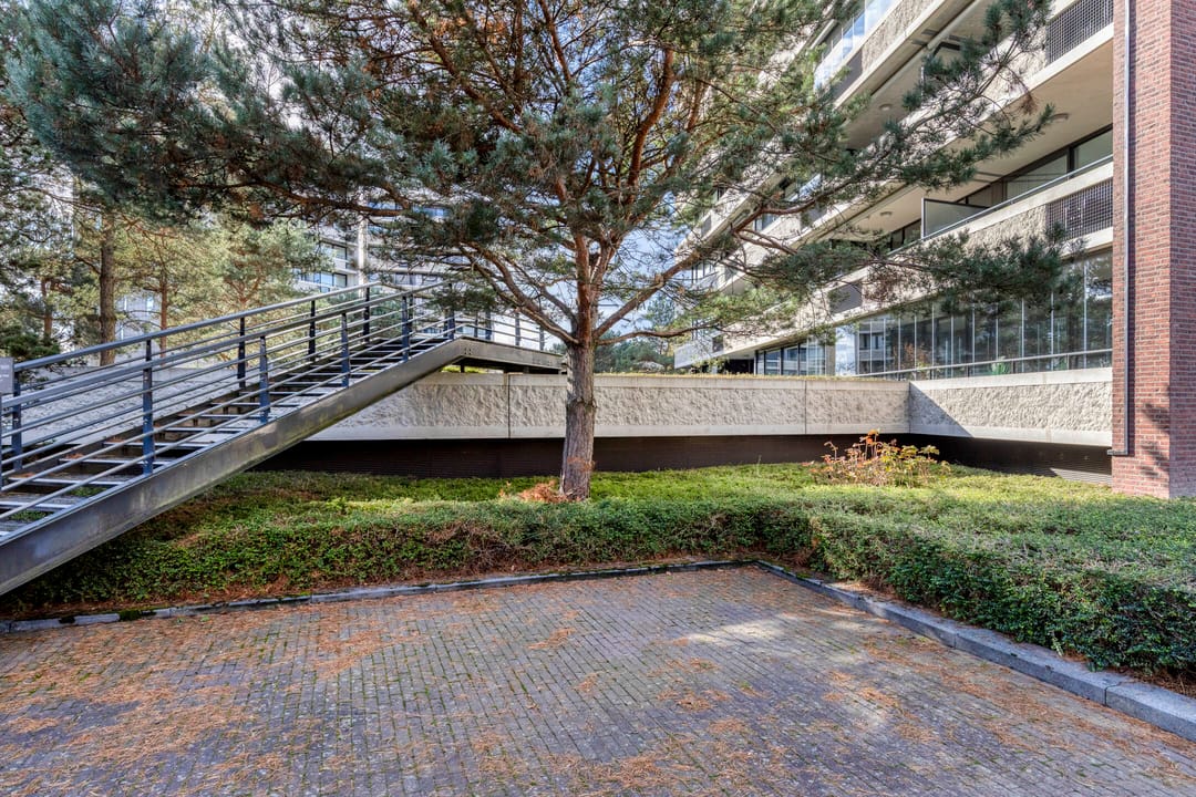 Photo 41 of Zandbloem 149