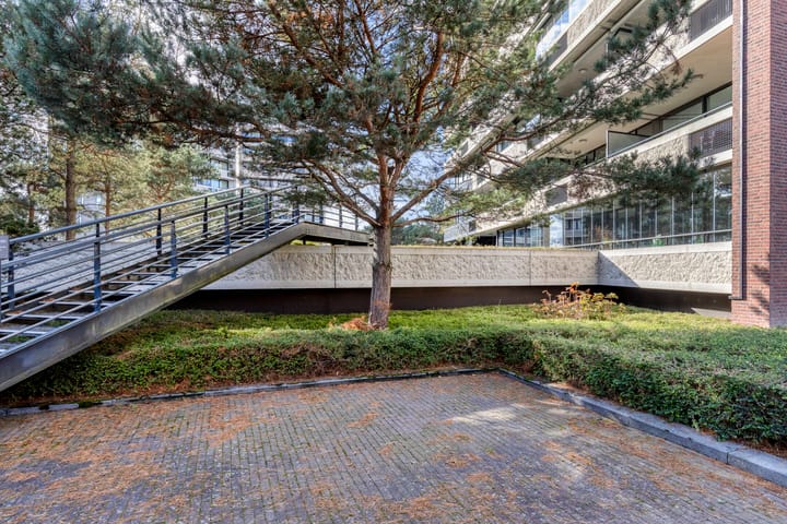 Photo 41 of Zandbloem 149