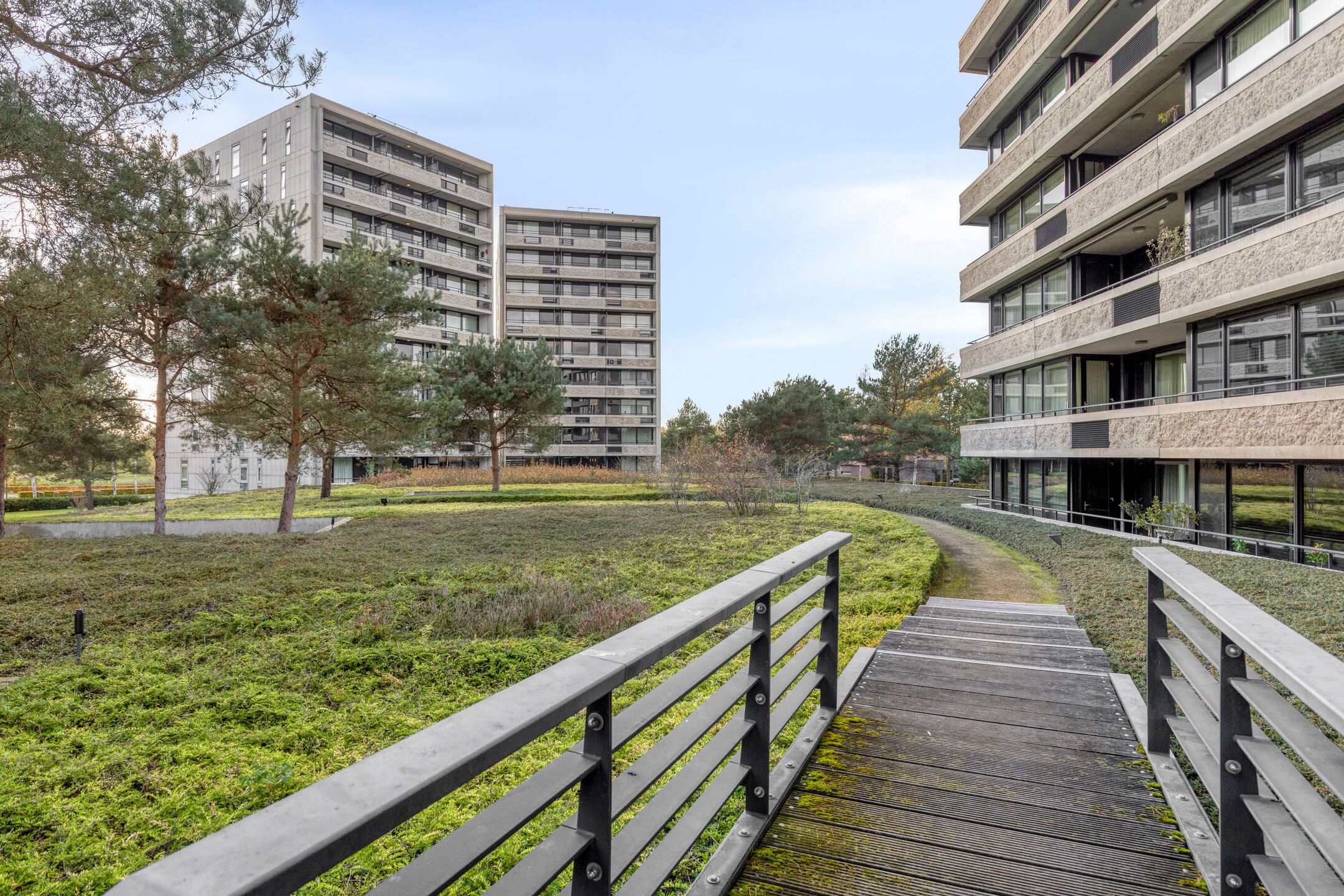 Photo 42 of Zandbloem 149