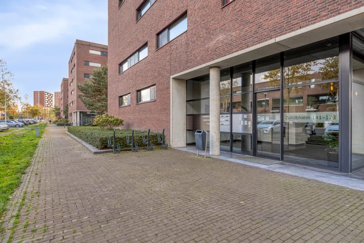 Photo 8 of Zandbloem 149