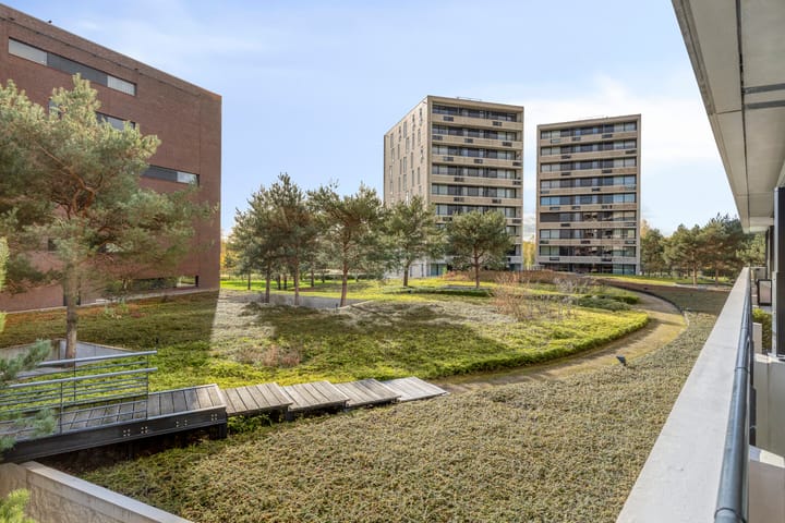 Photo 25 of Zandbloem 149