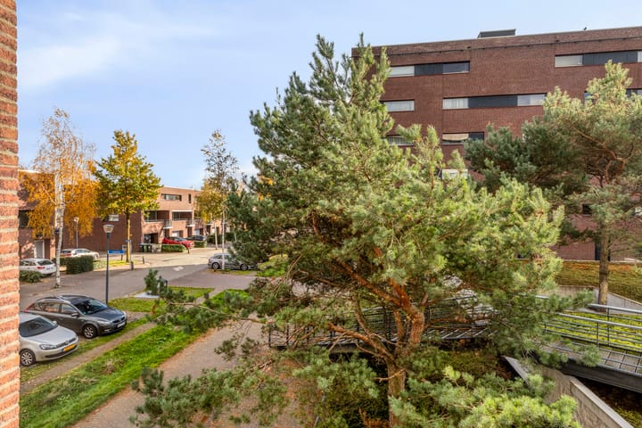 Photo 26 of Zandbloem 149