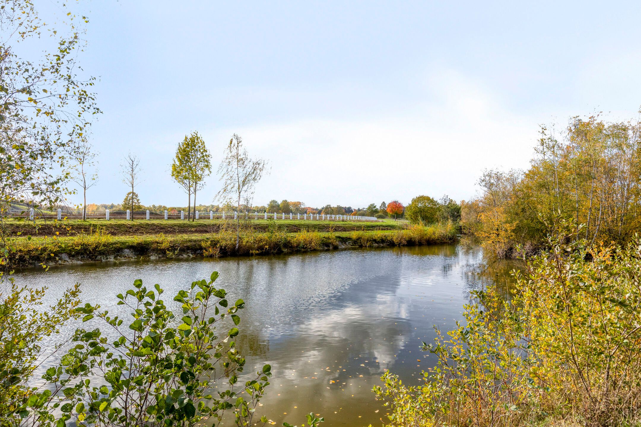 Photo 45 of Zandbloem 149