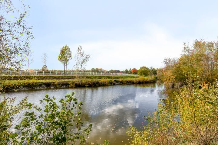 Photo 45 of Zandbloem 149