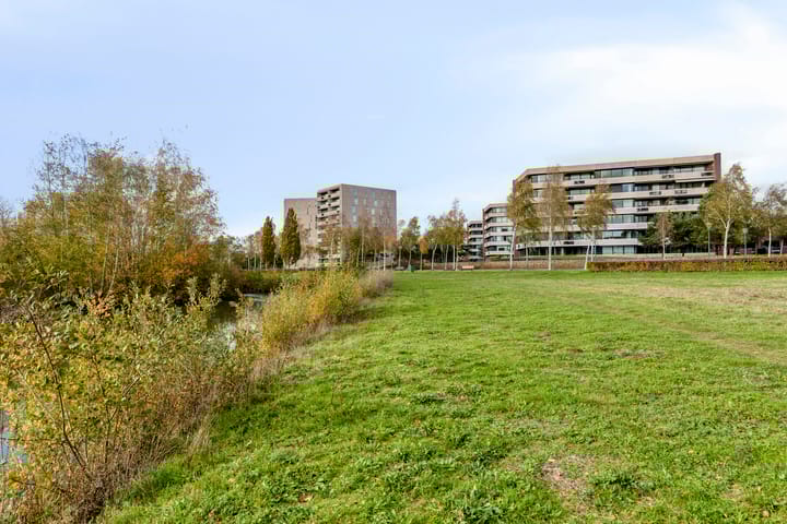 Photo 46 of Zandbloem 149