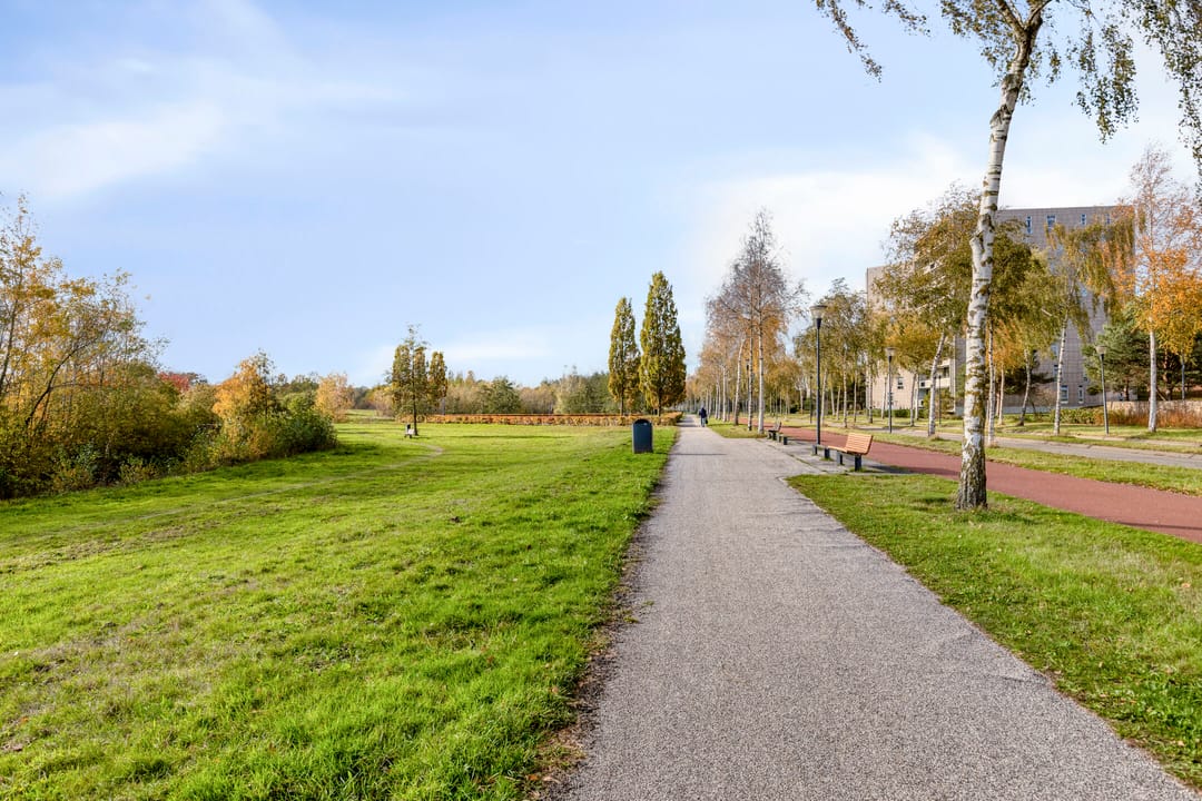 Photo 47 of Zandbloem 149