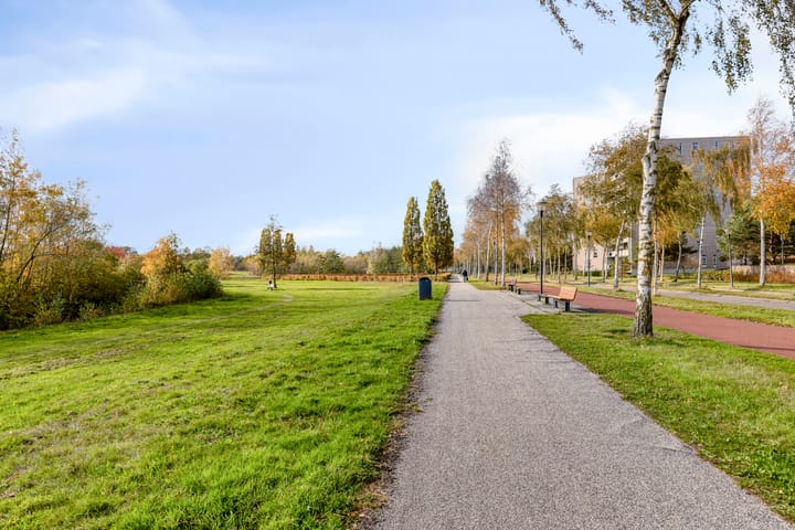 Photo 47 of Zandbloem 149