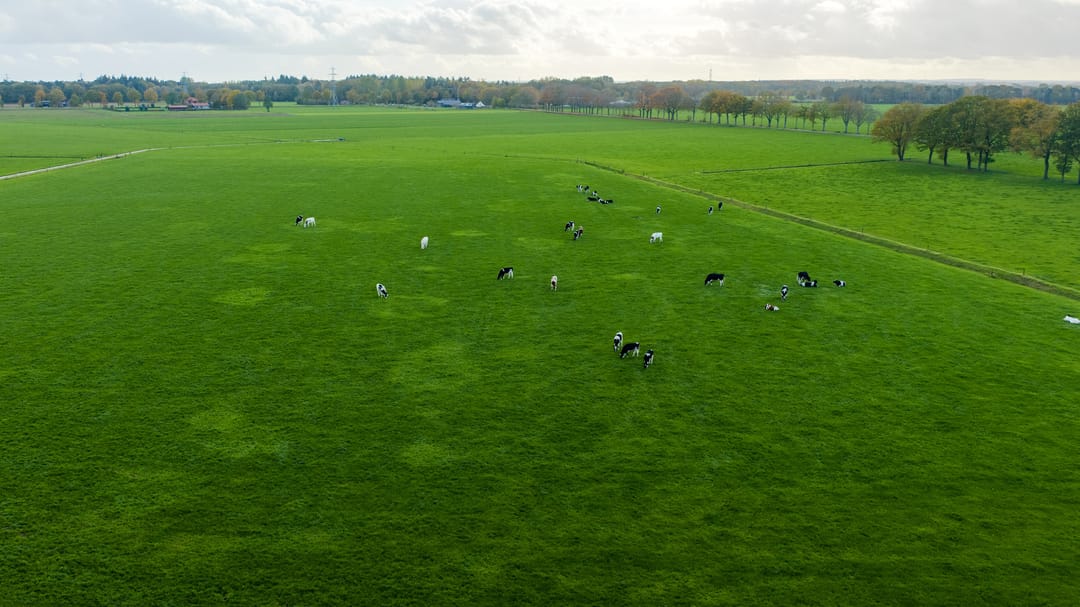 Foto 2 van Zutphenseweg 44