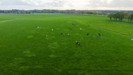 Zutphenseweg 44 secondary image