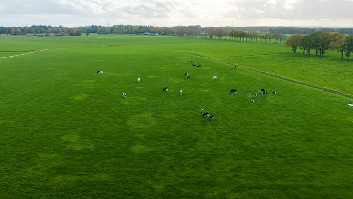 Foto 2 van Zutphenseweg 44