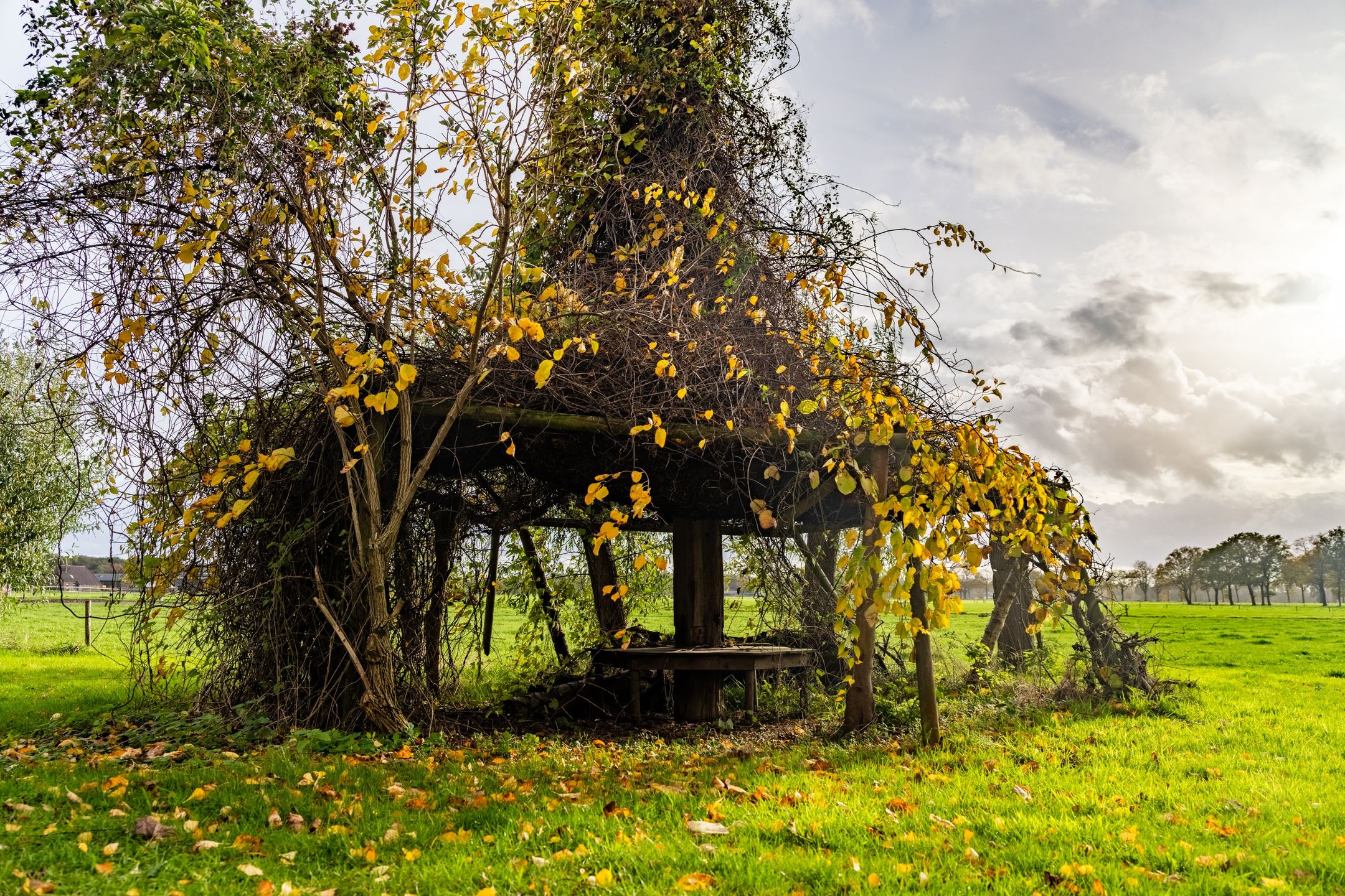 Foto 6 van Zutphenseweg 44