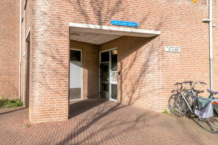 Photo 31 of De Gouden Leeuw 63