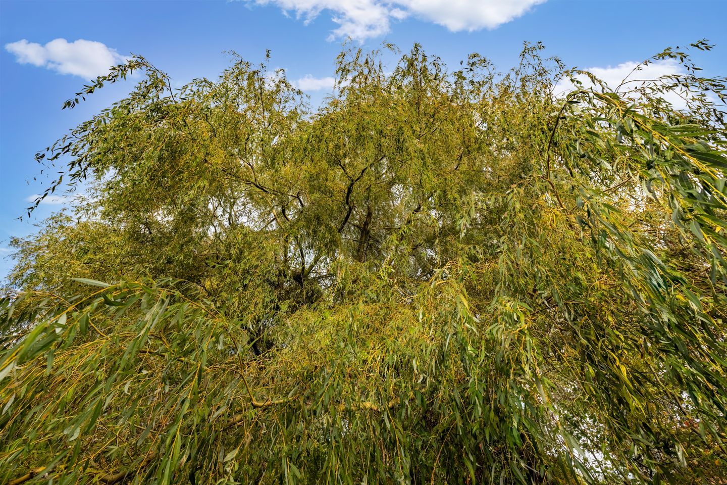 Foto 64 van Zutphenseweg 44