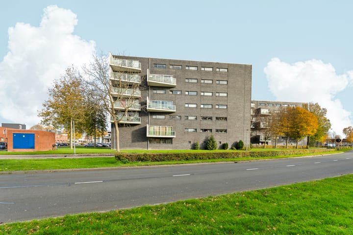 Foto 36 van Salsastraat 159