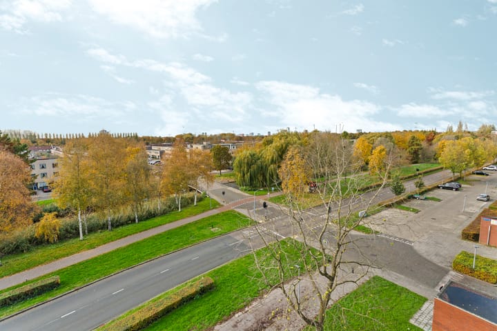 Foto 35 van Salsastraat 159