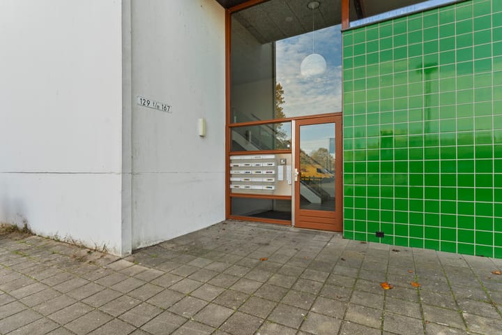 Foto 39 van Salsastraat 159