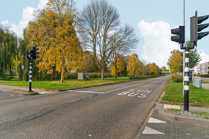 Foto 41 van Salsastraat 159