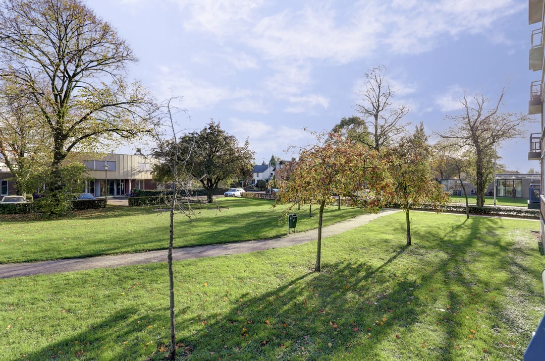 Photo 32 of Dokter Bosmanshof 22