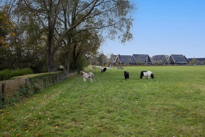 Foto 45 van Oostendorperstraatweg 29