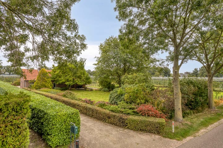 Hoge Broekstraat 3 main image