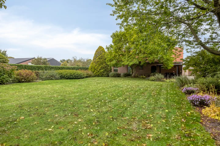 Foto 4 van Hoge Broekstraat 3