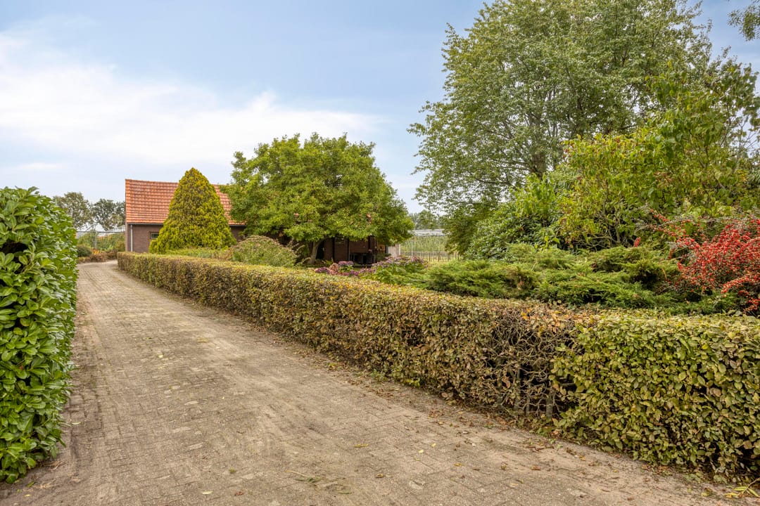 Photo 23 of Hoge Broekstraat 3