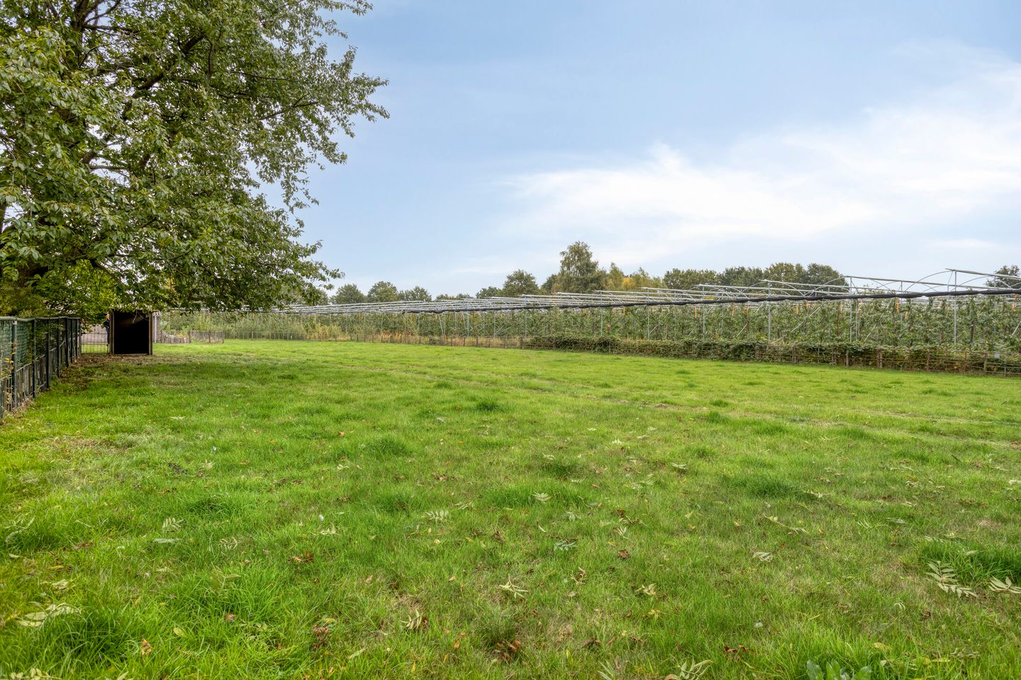 Photo 25 of Hoge Broekstraat 3