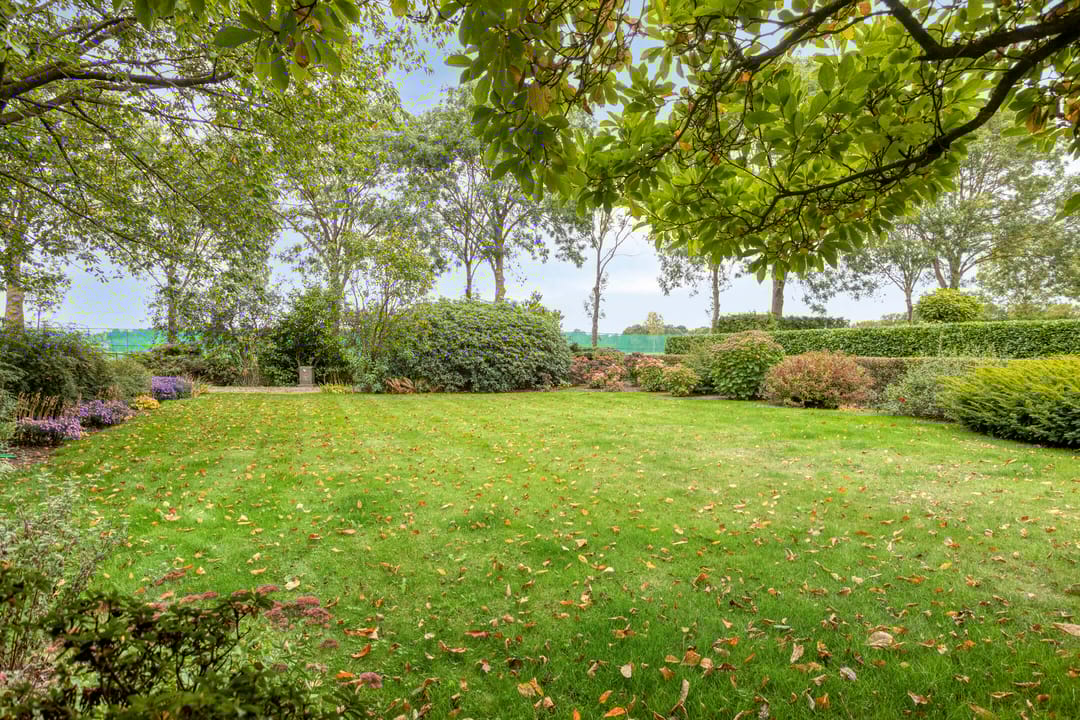 Photo 28 of Hoge Broekstraat 3