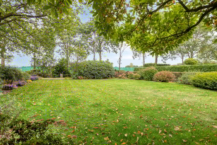 Foto 28 van Hoge Broekstraat 3