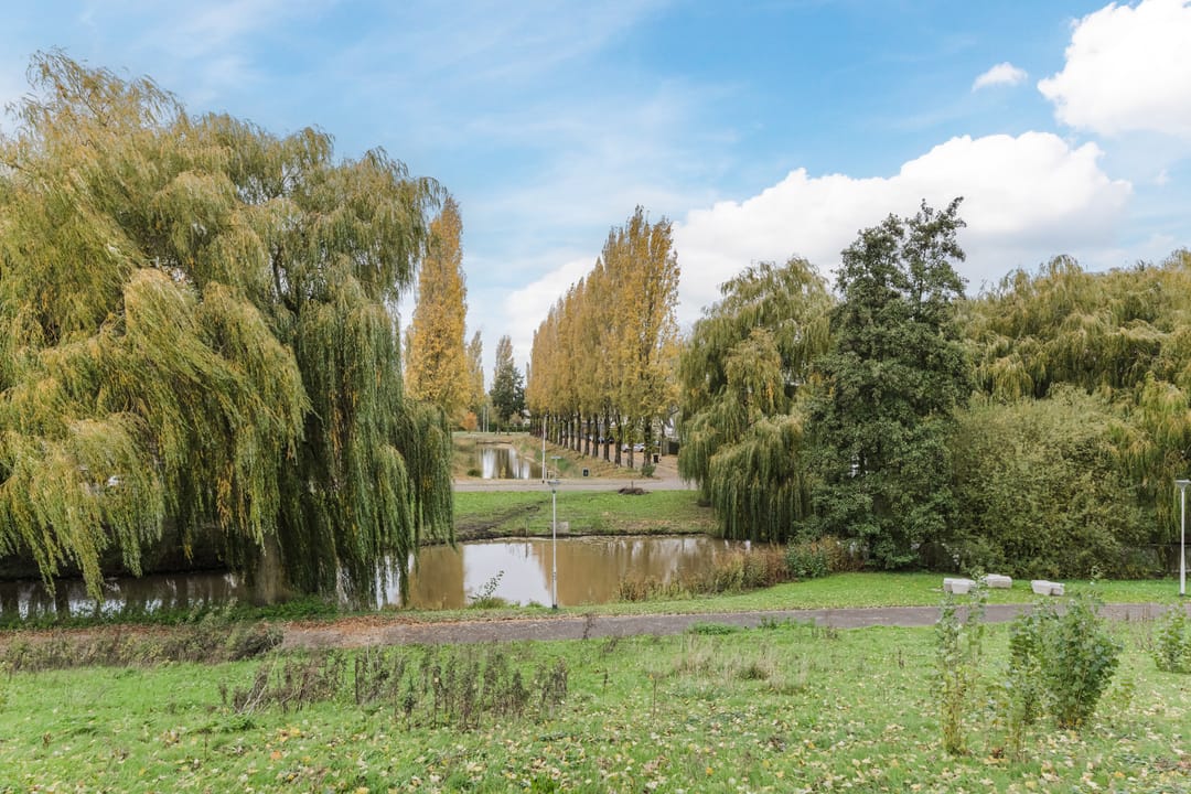 Foto 37 van Megenstraat 67