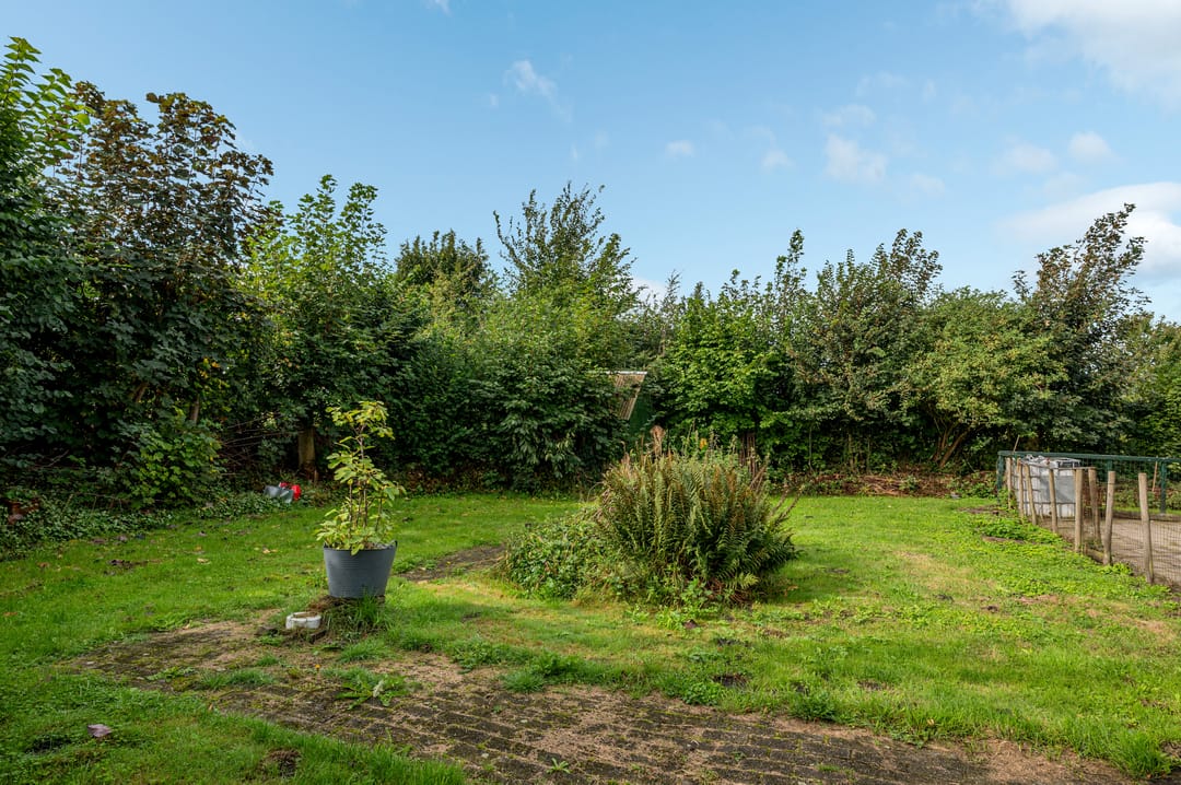 Foto 41 van Hereweg 46