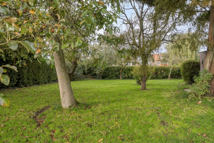 Photo 55 of Dr. Schaepmanstraat 37