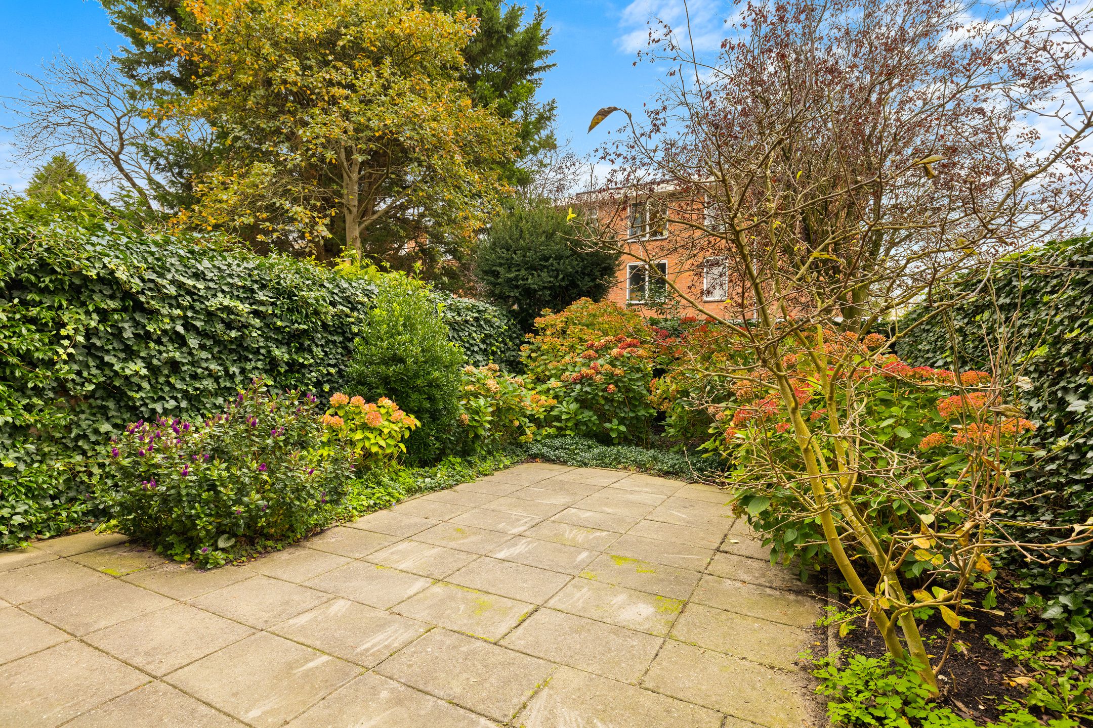 Foto 18 van Cornelis van Alkemadestraat 47